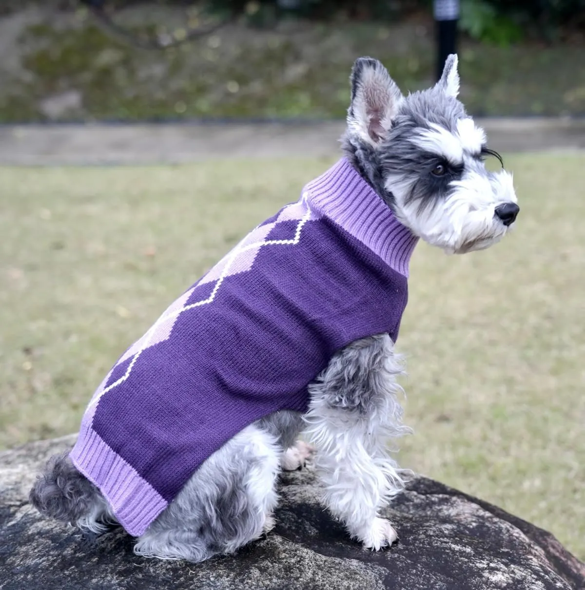 Argyle Knit Pet Sweaters Clothes for Small Dogs, Classic Purple Dog Sweater Cat Sweaters X-Small (XS) Size