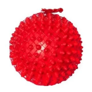 Aussie Dog Mitch Ball Dog Toy