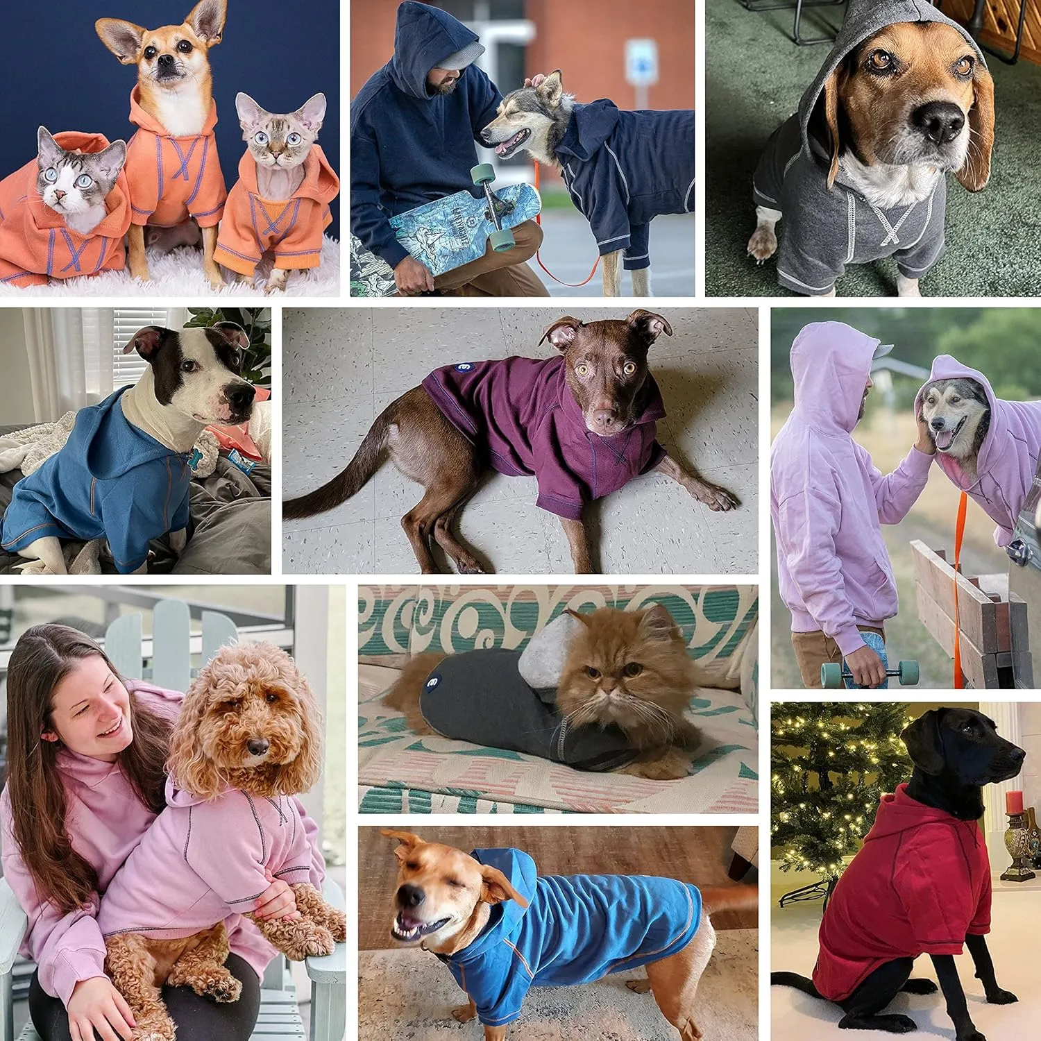 Blueberry Pet Essentials Soft & Comfy Better Basic Cotton Blend Dog Hoodie Sweatshirt in Alaskan Blue, Back Length 20", Pack of 1 Jacket for Dogs
