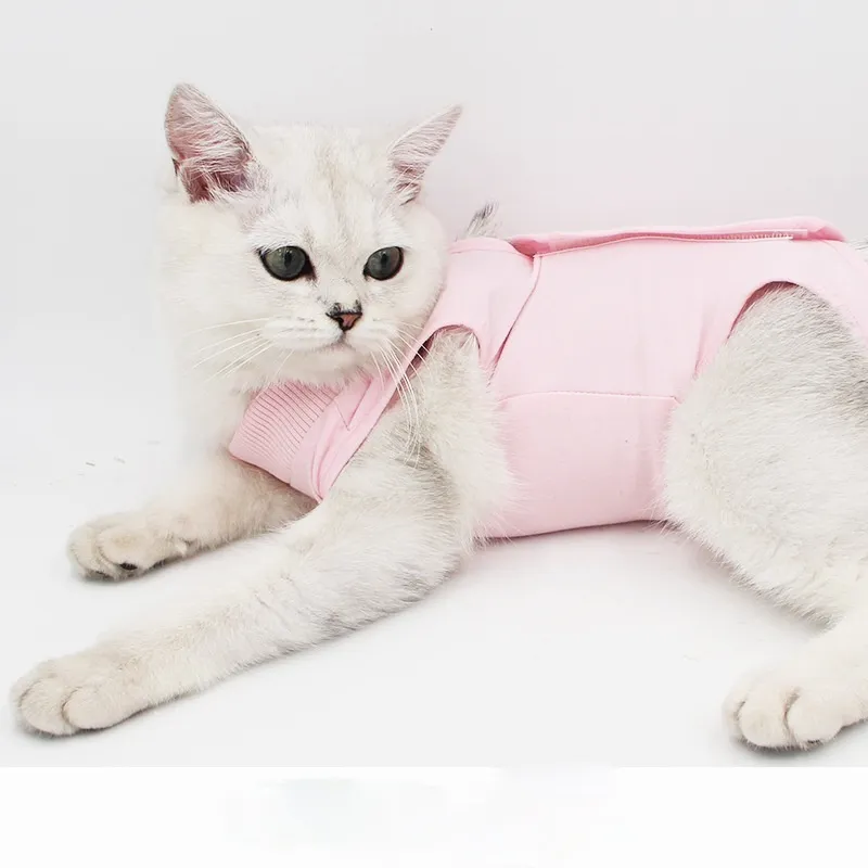 Cat Surgical Gown Female Cat Sterilization Clothing Surgical Gown Anti-Licking Pet Cat Clothes