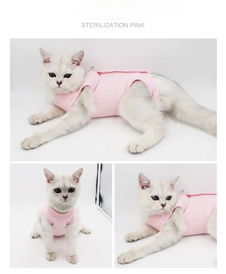 Cat Surgical Gown Female Cat Sterilization Clothing Surgical Gown Anti-Licking Pet Cat Clothes