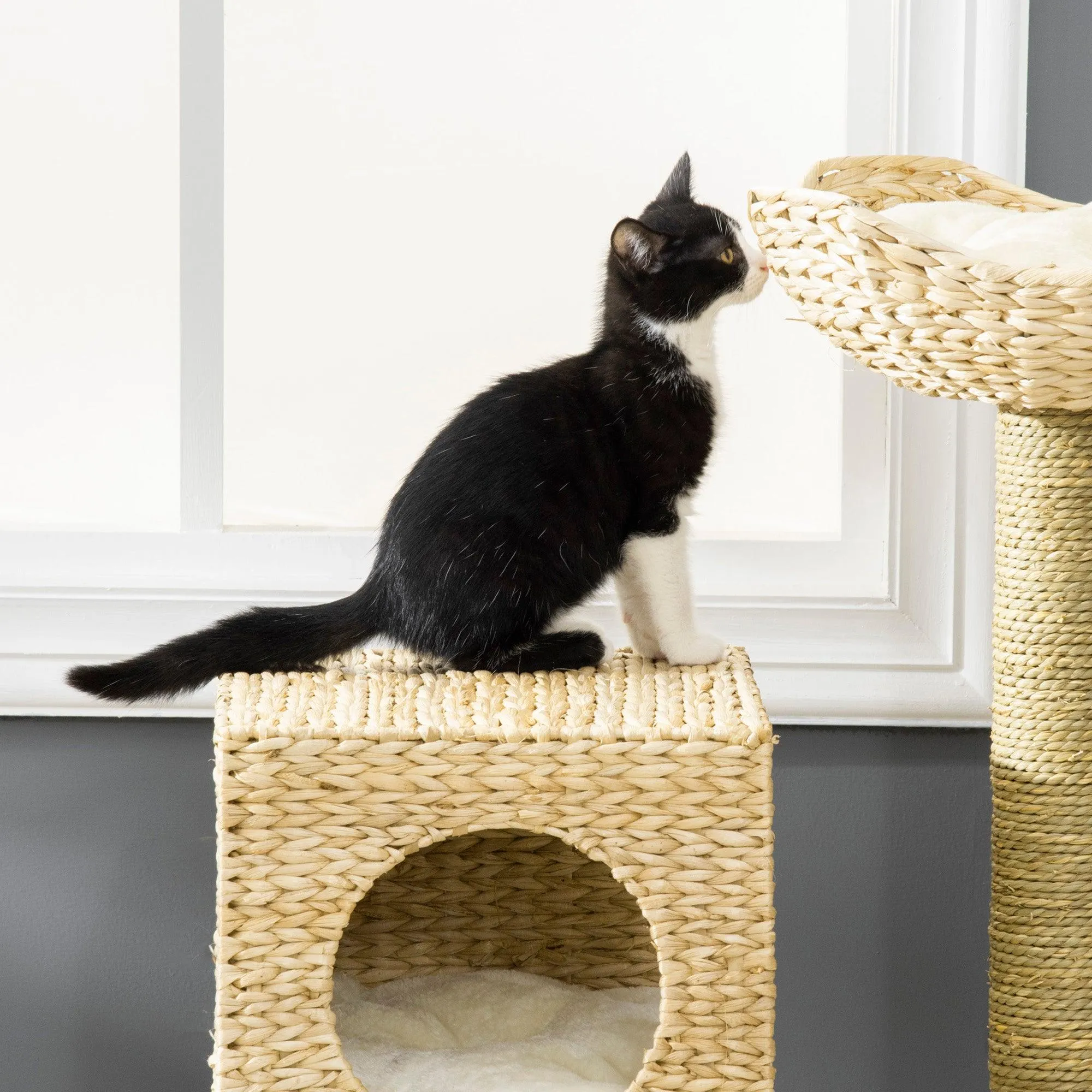 Cat Tower with Scratching Posts, Cat House, 100.5cm - Natural