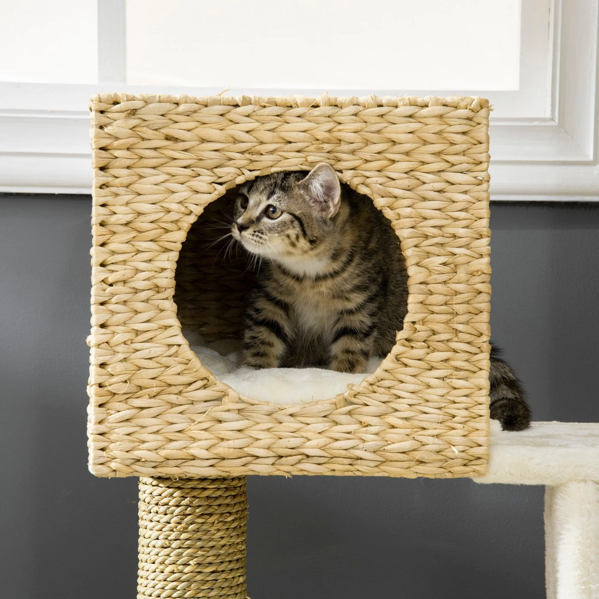Cat Tower with Scratching Posts, Cat House, 100.5cm - Natural