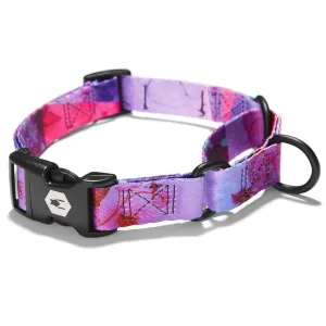 Coastal Drop Wolfgang Martingale DayDream Small Dog Collar 10-12"