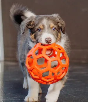 Dog toy ball