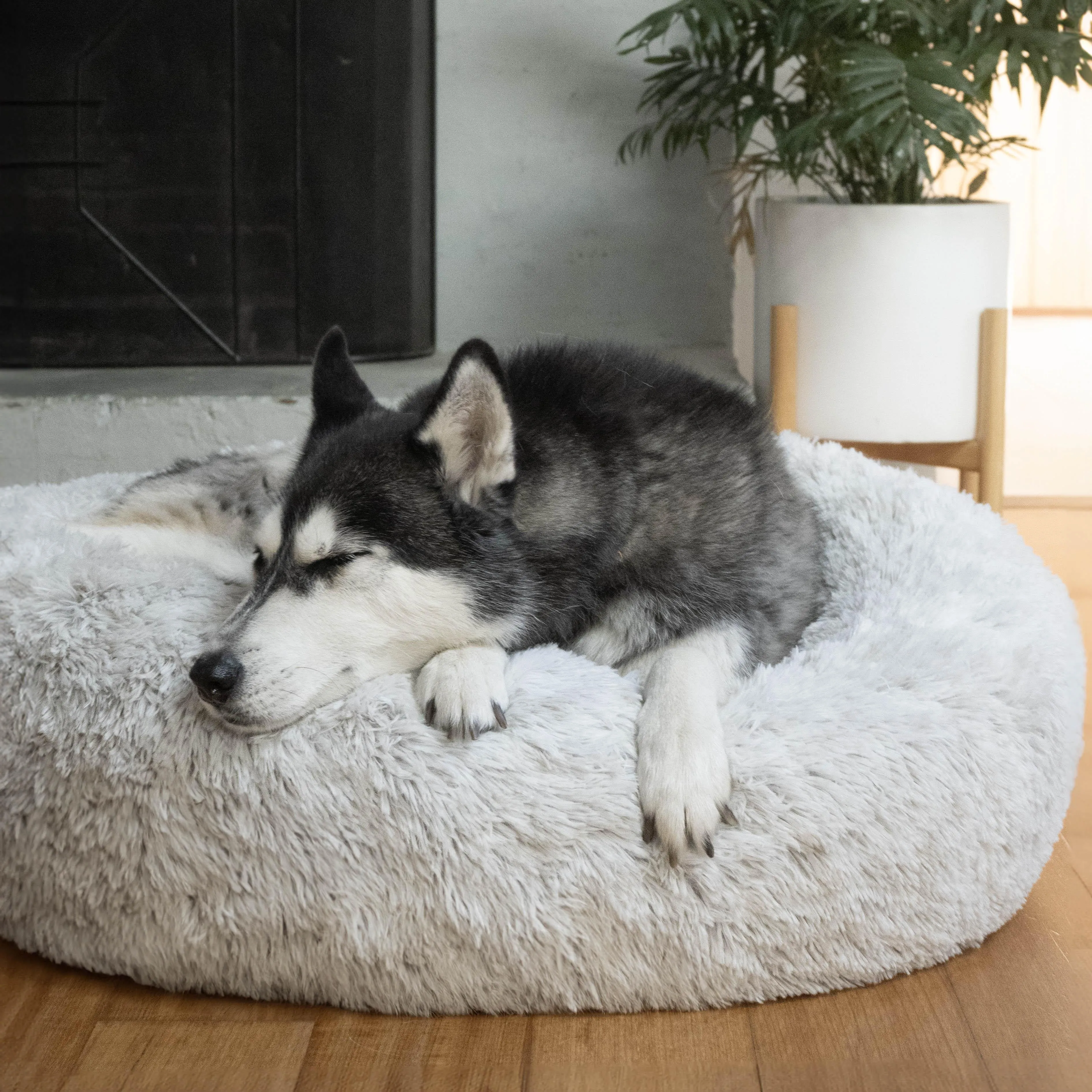 Hugzzz Orthopaedic Curl Up Cloud Calming Dog Bed Alpine