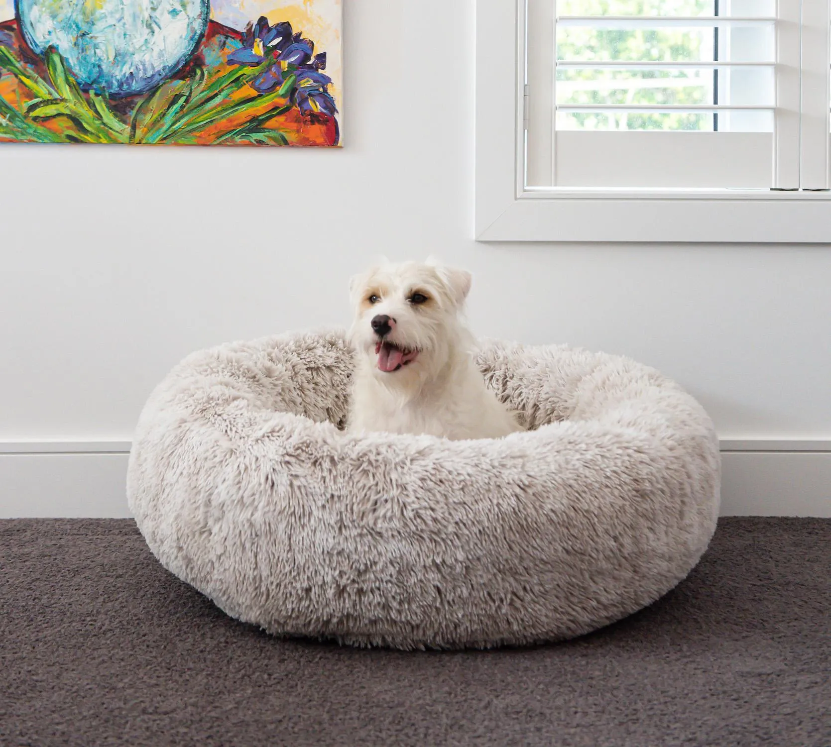 Hugzzz Orthopaedic Curl Up Cloud Calming Dog Bed Alpine