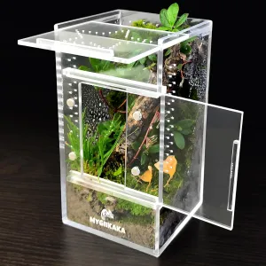 Jumping Spider Enclosure Accessories, Tarantula Spider Box, Bug Cage, Praying Mantis Habitat Enclosure, Snail Insect Terrarium, Caterpillar Habitat