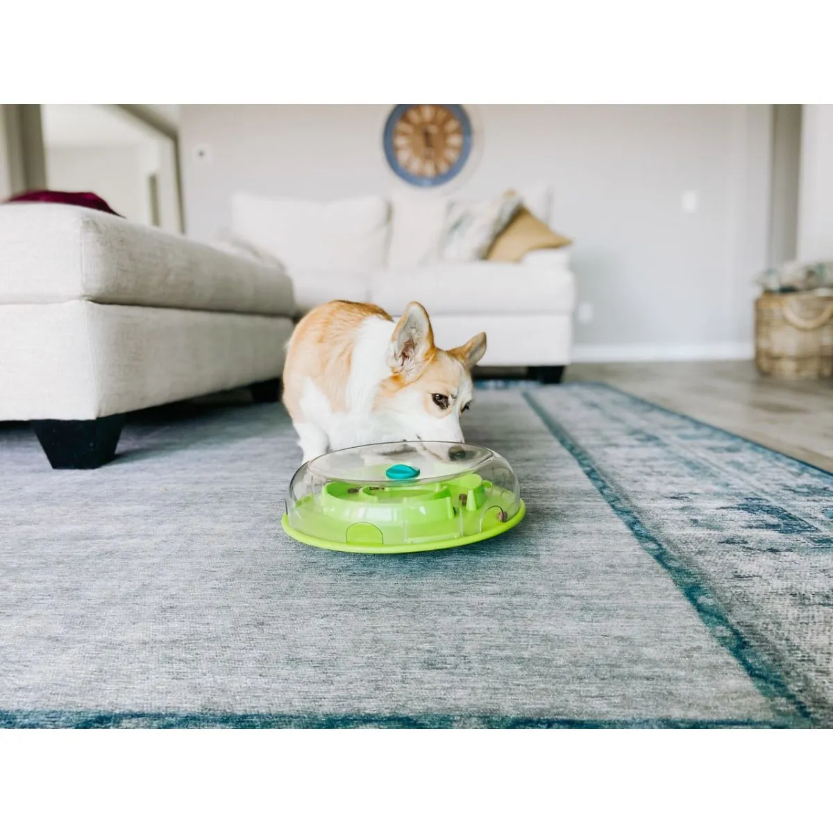 Outward Hound Wobble Bowl Interactive Treat Puzzle Dog Toy Multi