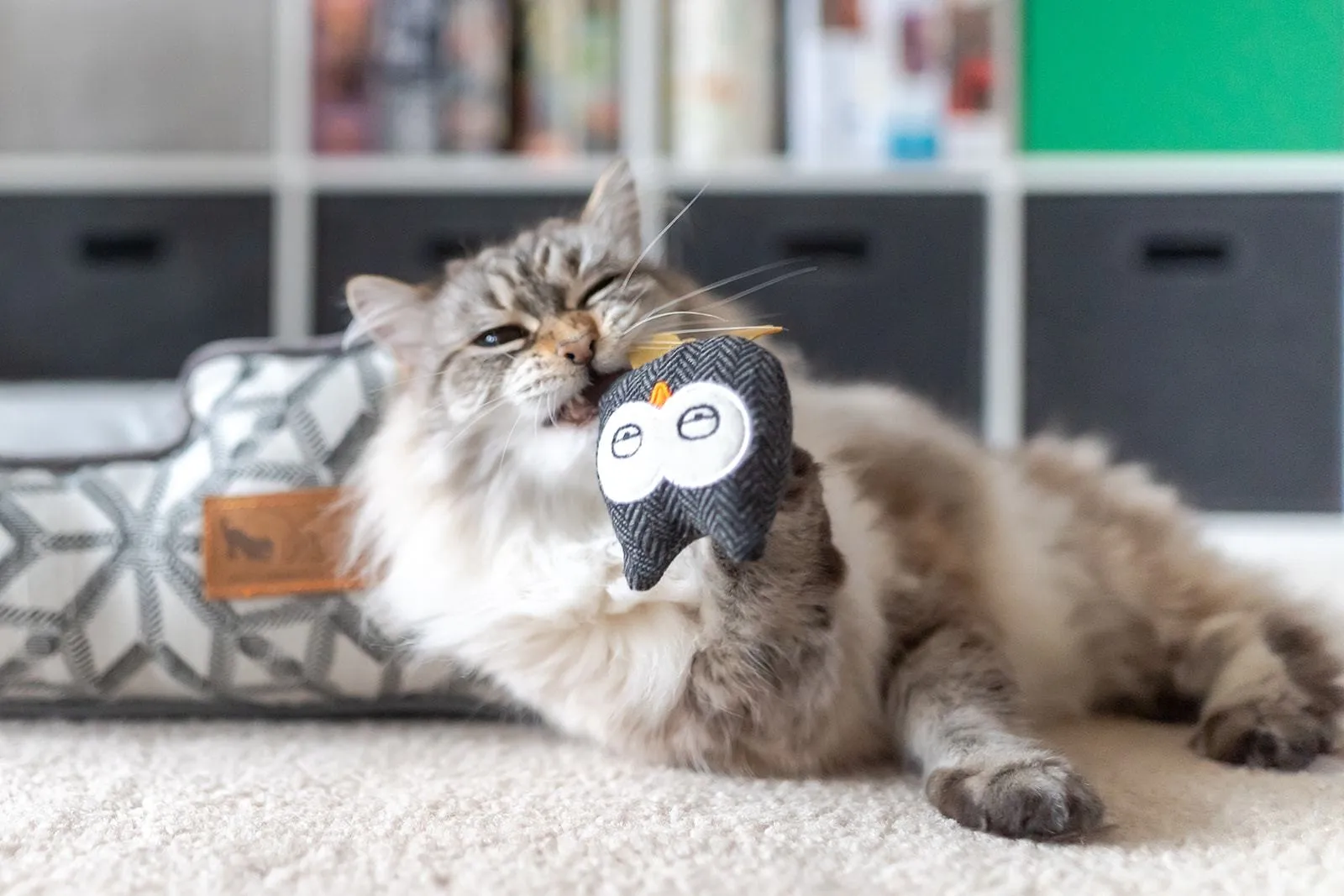 Owls Catnip Toy Set