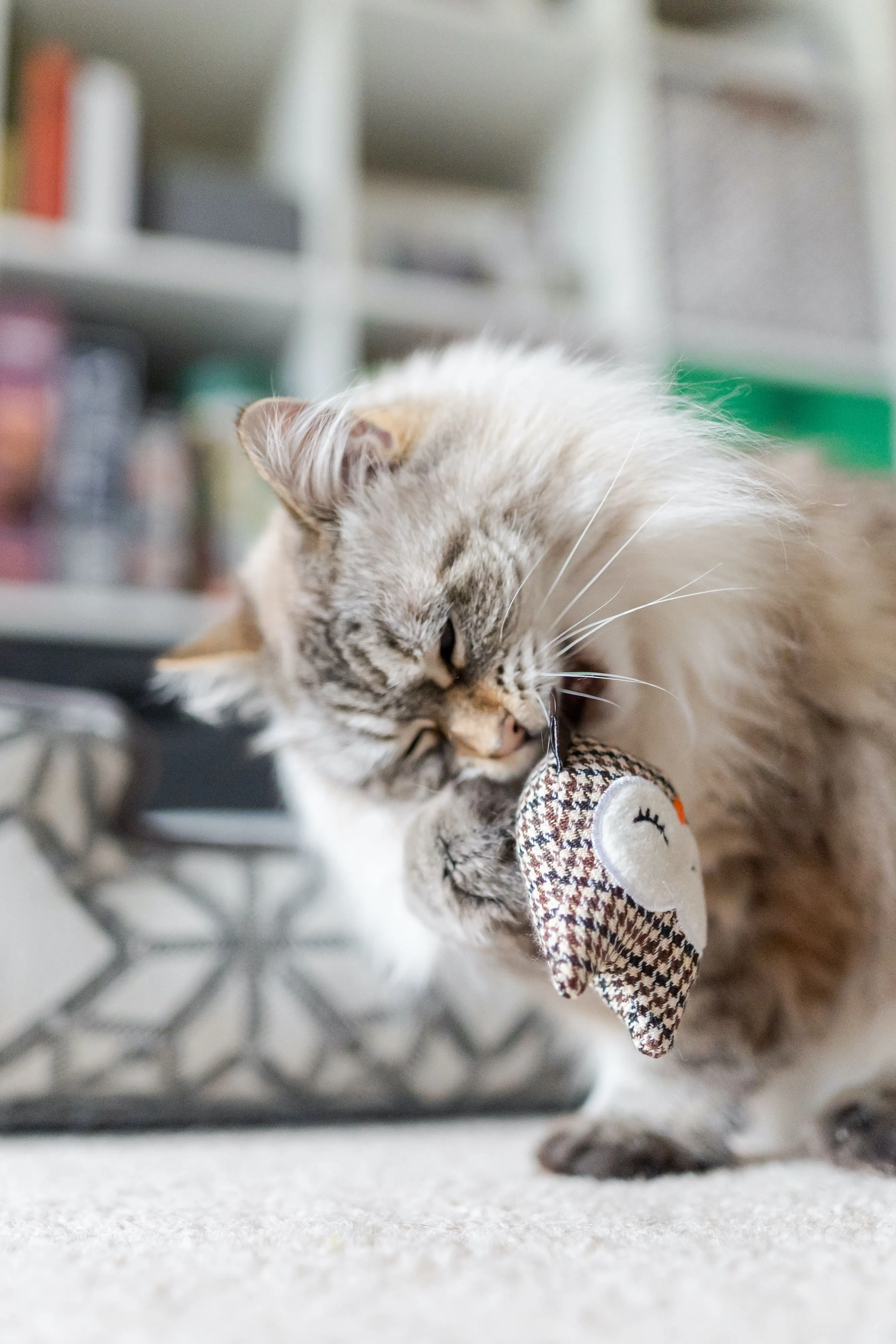 Owls Catnip Toy Set