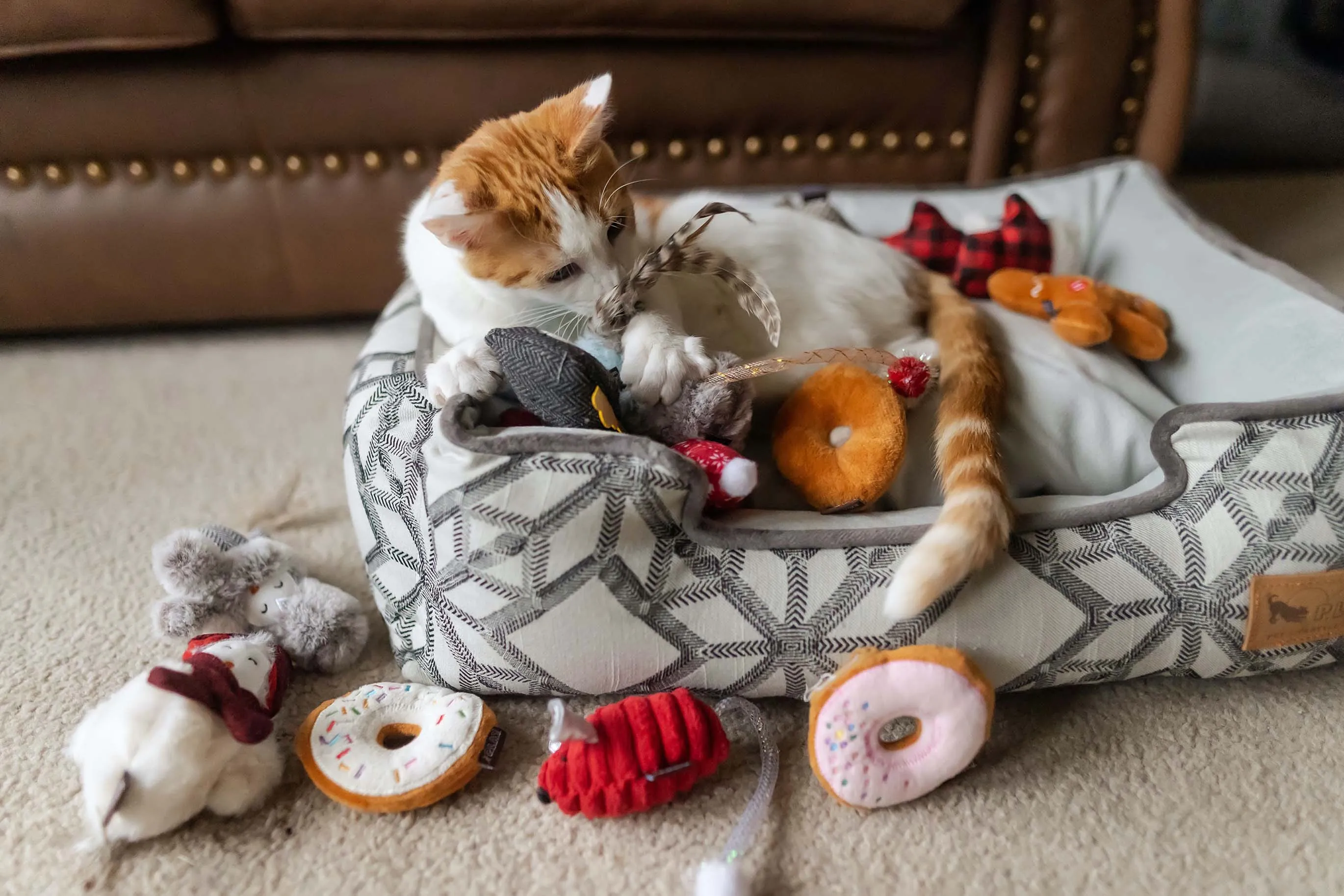 P.L.A.Y. Feline Frenzy, Catnip Toy set: Owls