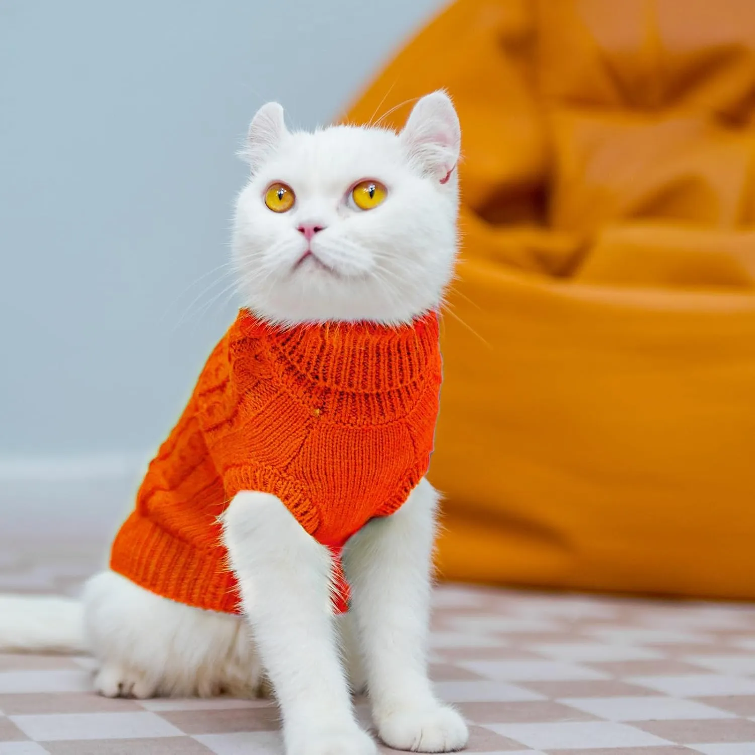 PUPTECK Winter Cat Sweater Coat - Soft Warm Cold Weather Clothes Knitwear for Kittens & Small Dogs Indoor Outdoor Wearing, Knitted Classic for Doggies Kitties Girls Boys, Orange, M