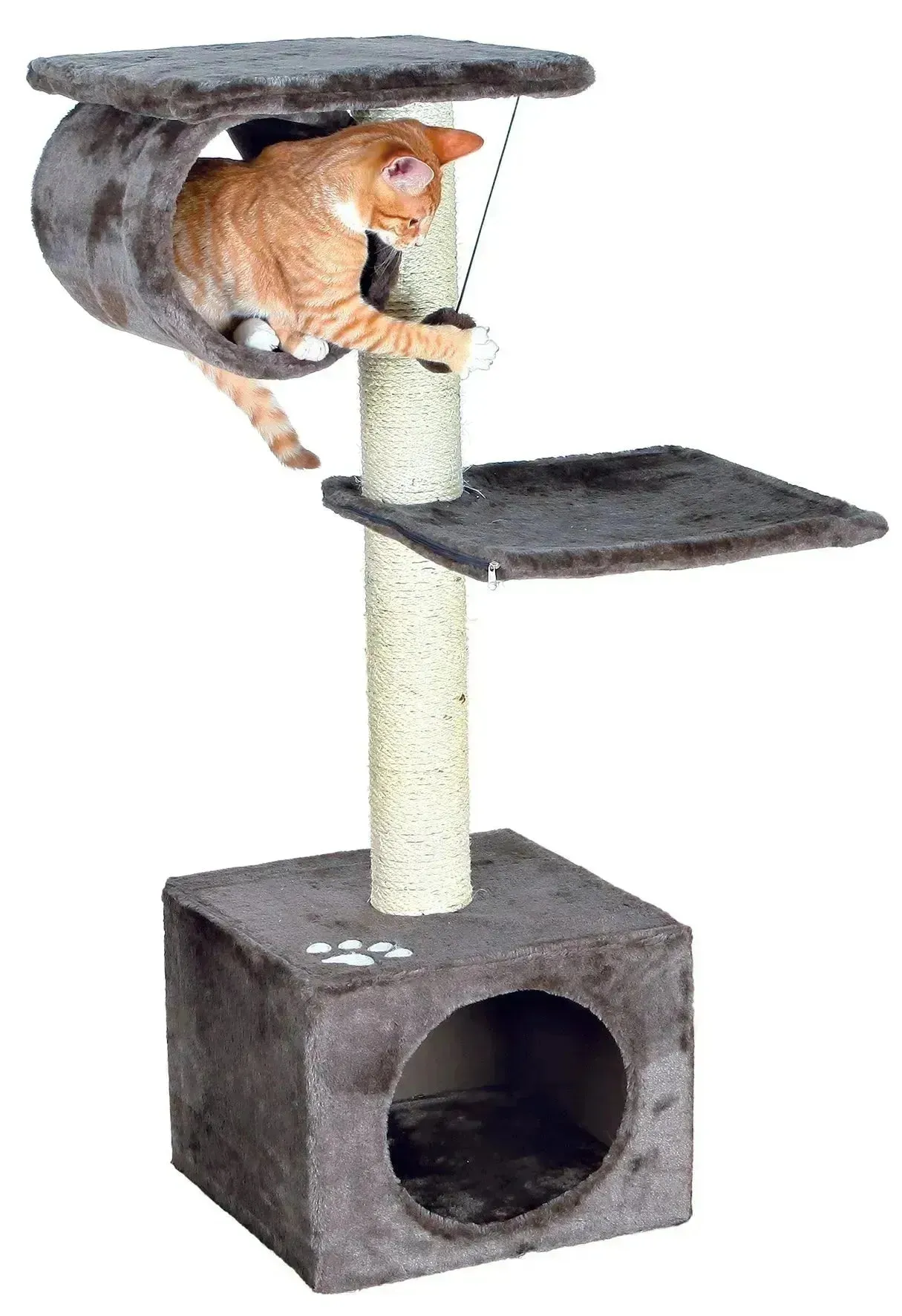 San Fernando Scratching Post