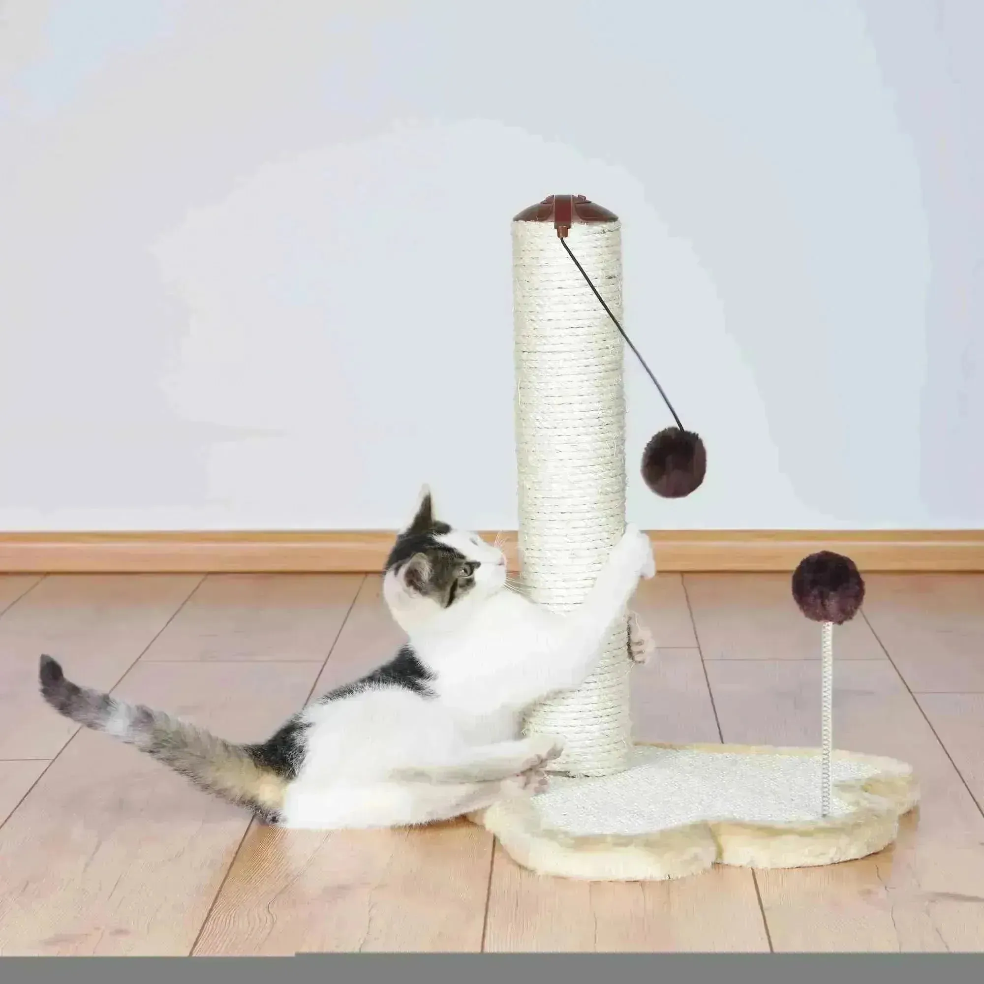 Scratching Paw with Post