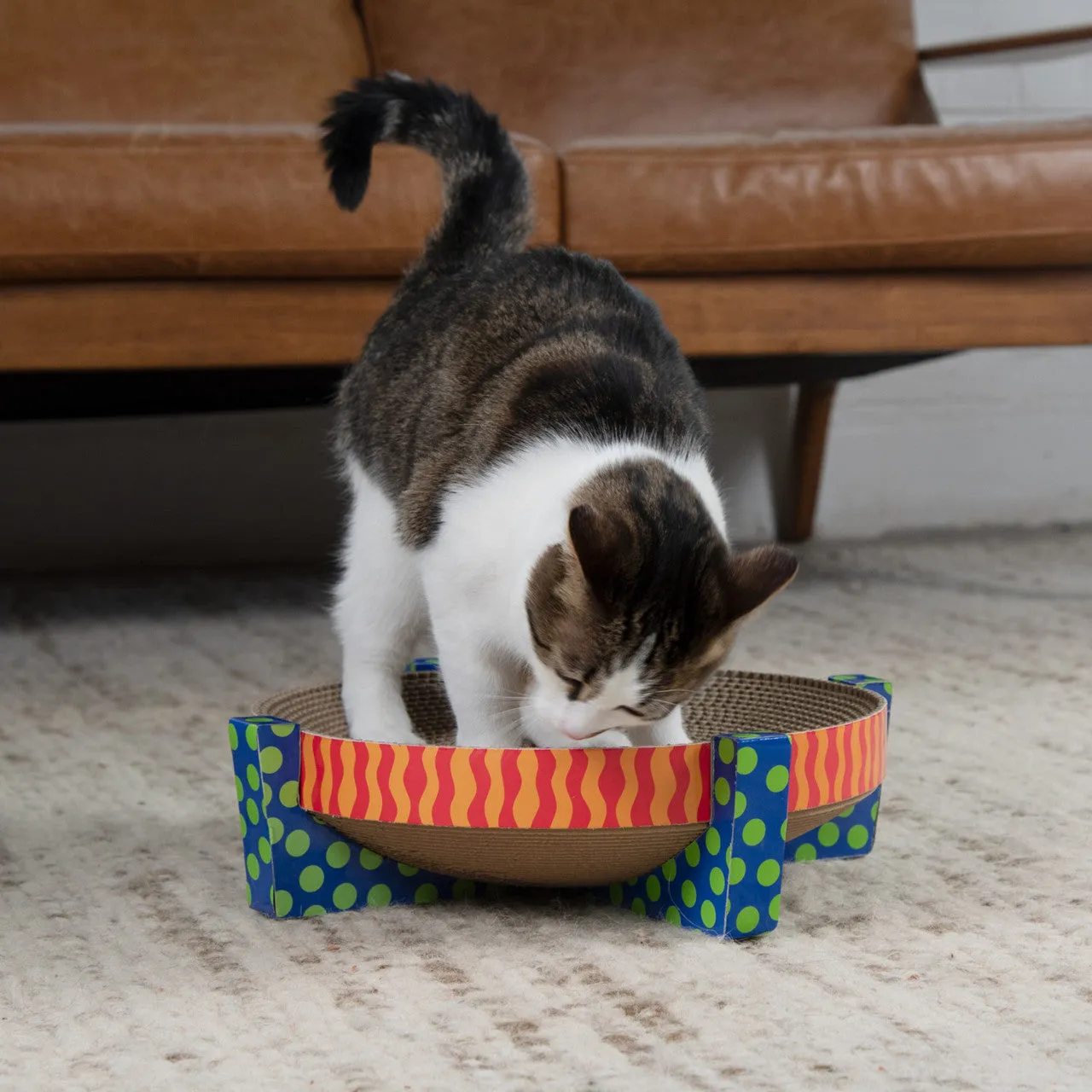 Snuggle & Rest Cat Scratcher