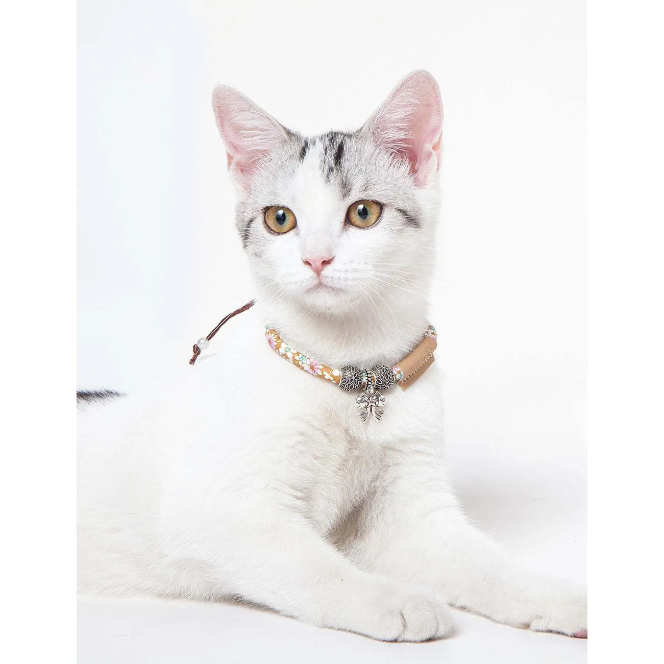Stylish Cat Collar