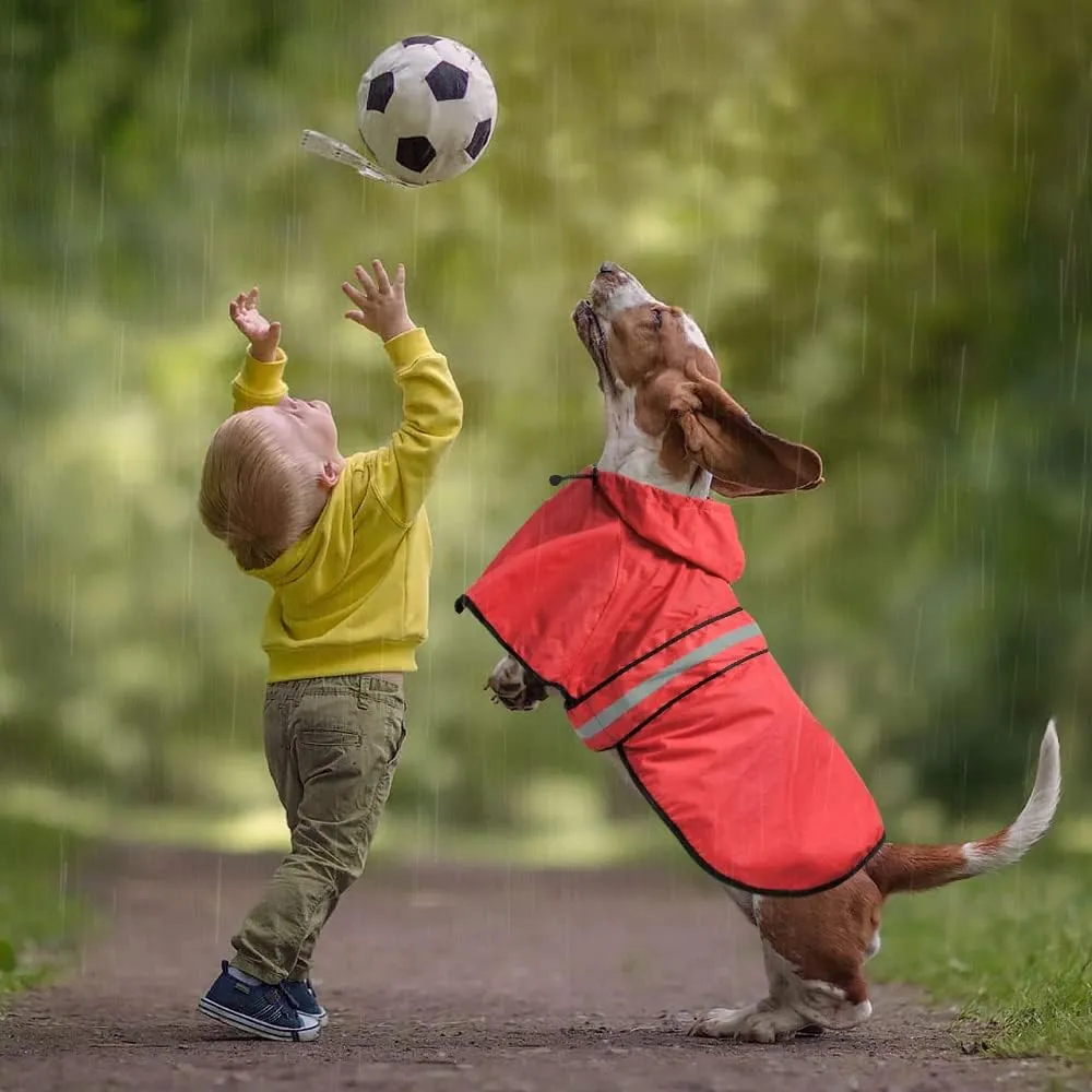 Waterproof Dog Raincoat - Reflective Adjustable Pet Rain Coats Jacket, Lightweight Dog Hooded Poncho Raincoats for Small Dogs (Red, Medium)