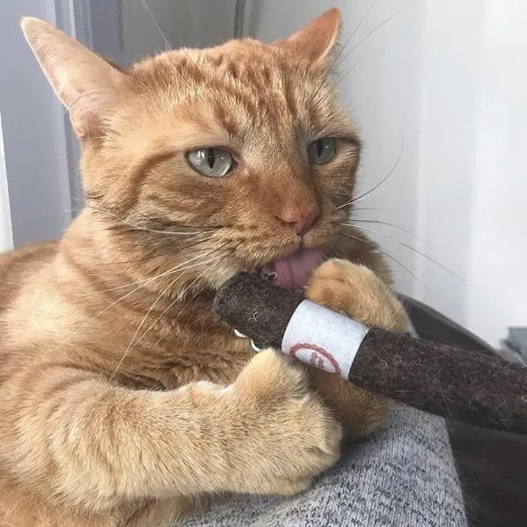 Wool Catnip Cigars Cat Toy Stuffed Organic Catnip by Ciao Gatto